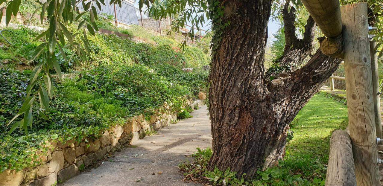 Casa Rural El Pilon 托雷瓦尔德圣佩德 外观 照片